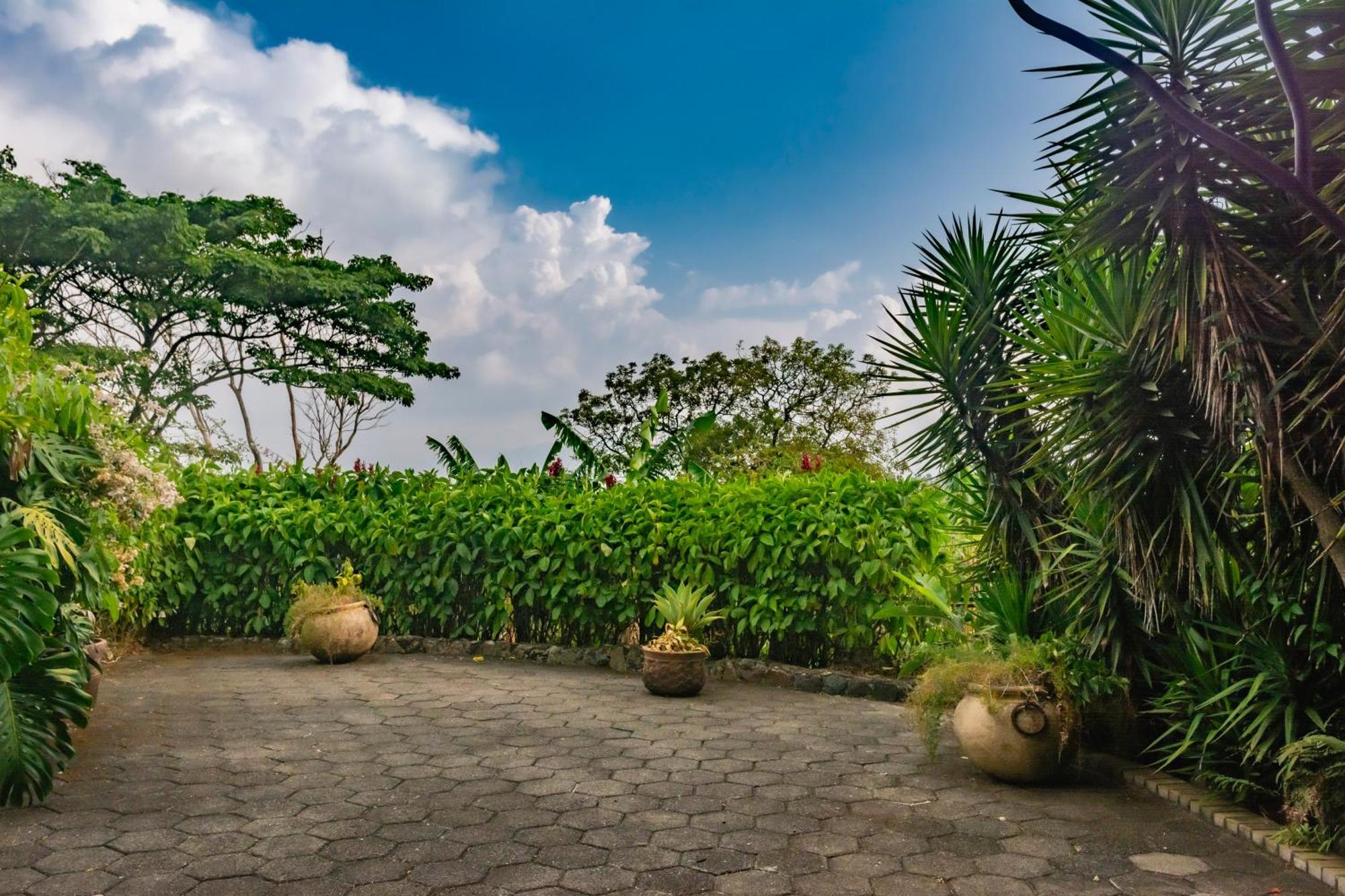 Finca Rosa Blanca Coffee Farm And Inn เอเรเดีย ภายนอก รูปภาพ